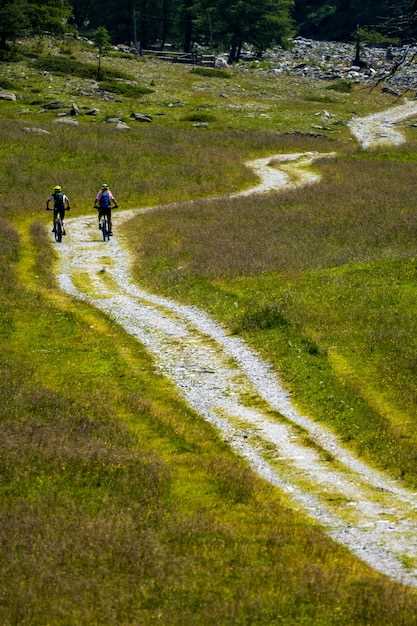 Discovering Scenic Hiking Trails Denmark