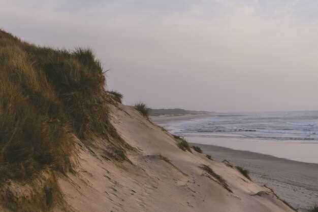 The Majestic Cliffs of Møn and Coastal Trails