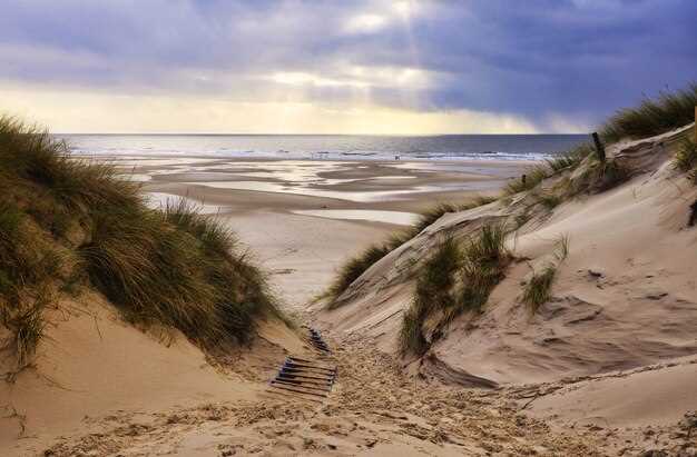 The Majestic Cliffs of Møn and Coastal Trails